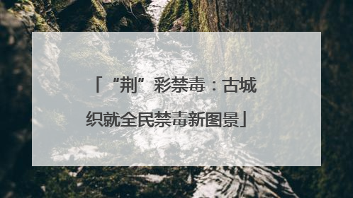 “荆”彩禁毒：古城织就全民禁毒新图景