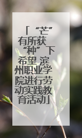 “芒”有所获 “种”下希望 滨州职业学院进行劳动实践教育活动