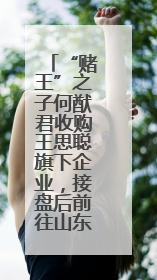 “赌王”之子何猷君收购王思聪旗下企业，接盘后前往山东参加活动