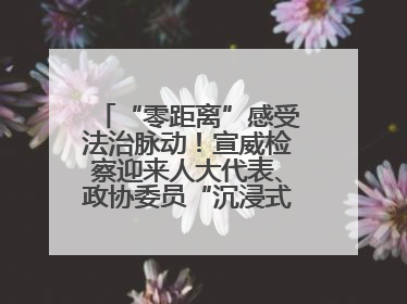 “零距离”感受法治脉动！宣威检察迎来人大代表、政协委员“沉浸式”体验