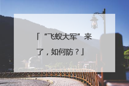 “飞蚁大军”来了，如何防？