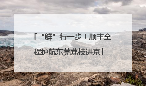 “鲜”行一步！顺丰全程护航东莞荔枝进京