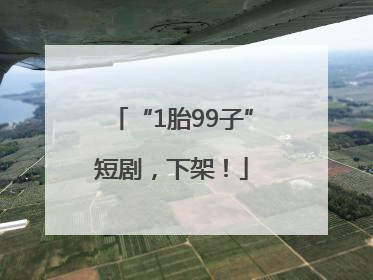“1胎99子”短剧，下架！