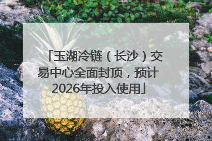 玉湖冷链（长沙）交易中心全面封顶，预计2026年投入使用
