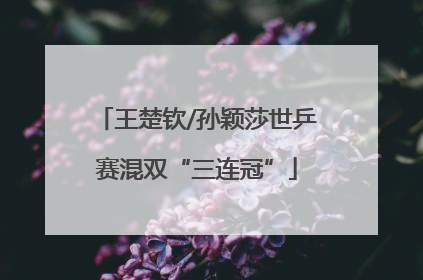 王楚钦/孙颖莎世乒赛混双“三连冠”