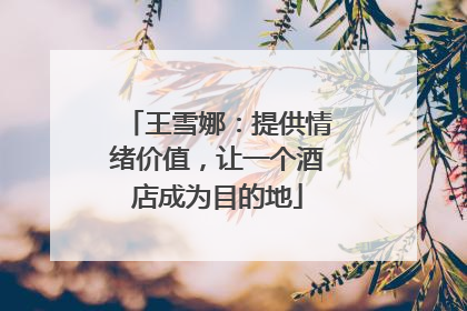 王雪娜：提供情绪价值，让一个酒店成为目的地