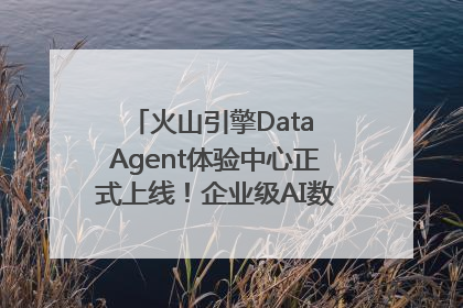 火山引擎Data Agent体验中心正式上线！企业级AI数据专家触手可及