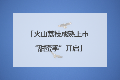 火山荔枝成熟上市 “甜蜜季”开启