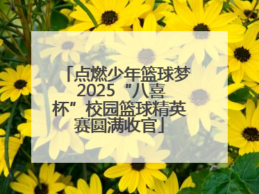 点燃少年篮球梦 2025“八喜杯”校园篮球精英赛圆满收官