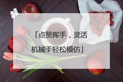 点赞挥手，灵活机械手轻松模仿