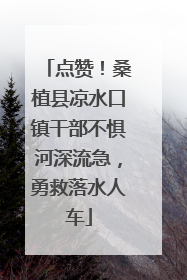 点赞！桑植县凉水口镇干部不惧河深流急，勇救落水人车