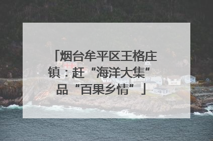 烟台牟平区王格庄镇：赶“海洋大集” 品“百果乡情”