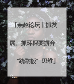 燕赵论坛丨抓发展、抓环保要摒弃“跷跷板”思维