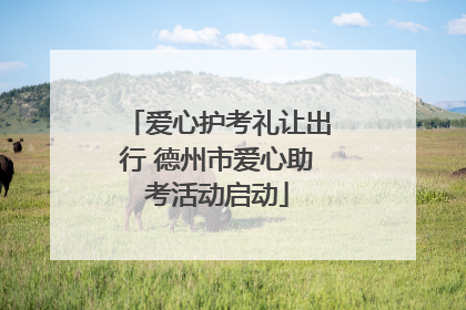 爱心护考礼让出行 德州市爱心助考活动启动