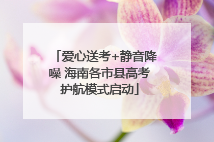 爱心送考+静音降噪 海南各市县高考护航模式启动