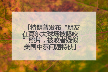 特朗普发布“朋友在高尔夫球场被鹅咬”照片，被咬者疑似美国中东问题特使