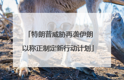 特朗普威胁再袭伊朗 以称正制定新行动计划