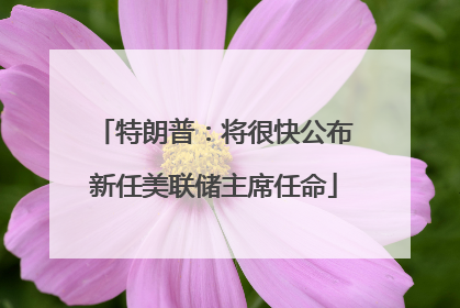 特朗普：将很快公布新任美联储主席任命