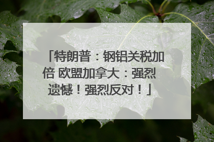 特朗普：钢铝关税加倍 欧盟加拿大：强烈遗憾！强烈反对！