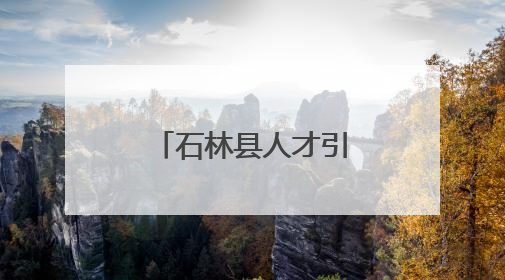 石林县人才引领创新驱动产业“三级跳”