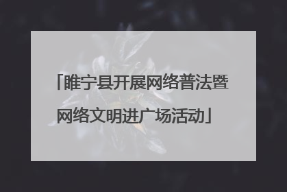 睢宁县开展网络普法暨网络文明进广场活动