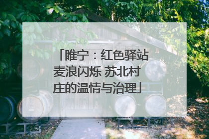 睢宁：红色驿站麦浪闪烁 苏北村庄的温情与治理