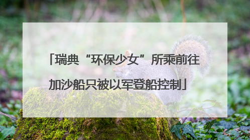 瑞典“环保少女”所乘前往加沙船只被以军登船控制