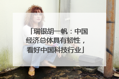 瑞银胡一帆：中国经济总体具有韧性，看好中国科技行业
