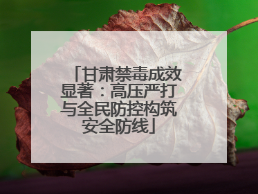 甘肃禁毒成效显著：高压严打与全民防控构筑安全防线