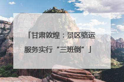 甘肃敦煌：景区骆运服务实行“三班倒”