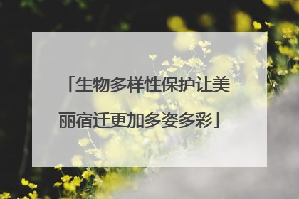 生物多样性保护让美丽宿迁更加多姿多彩