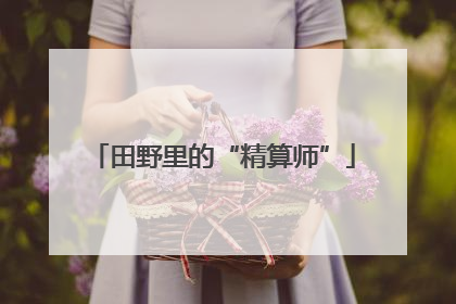 田野里的“精算师”