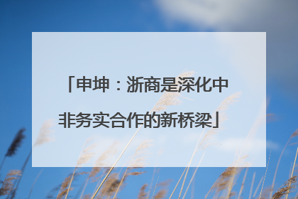 申坤：浙商是深化中非务实合作的新桥梁