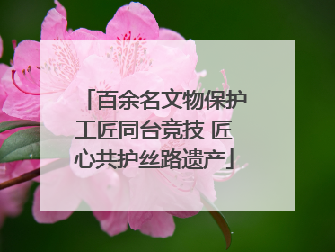 百余名文物保护工匠同台竞技 匠心共护丝路遗产