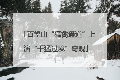 百望山“猛禽通道”上演“千猛过境”奇观