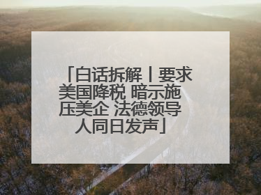 白话拆解丨要求美国降税 暗示施压美企 法德领导人同日发声