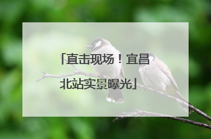 直击现场！宜昌北站实景曝光