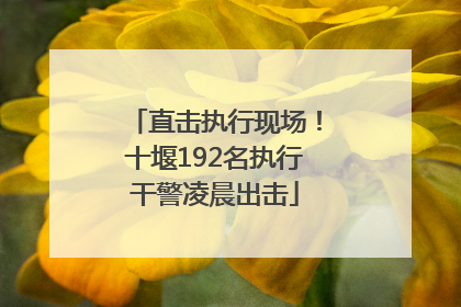 直击执行现场！十堰192名执行干警凌晨出击