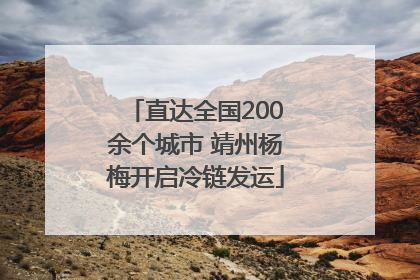 直达全国200余个城市 靖州杨梅开启冷链发运