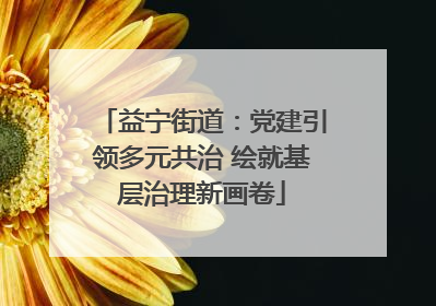 益宁街道：党建引领多元共治 绘就基层治理新画卷