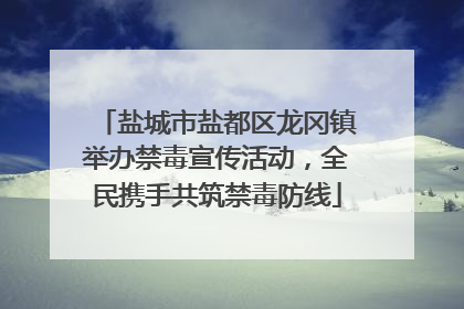 盐城市盐都区龙冈镇举办禁毒宣传活动，全民携手共筑禁毒防线