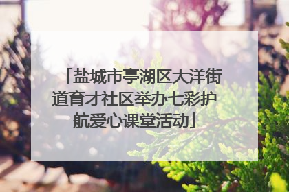 盐城市亭湖区大洋街道育才社区举办七彩护航爱心课堂活动
