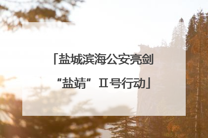 盐城滨海公安亮剑“盐靖”Ⅱ号行动