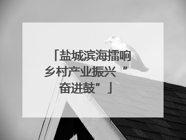 盐城滨海擂响乡村产业振兴“奋进鼓”