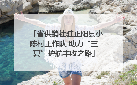 省供销社驻正阳县小陈村工作队 助力“三夏”护航丰收之路