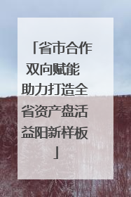 省市合作双向赋能 助力打造全省资产盘活益阳新样板