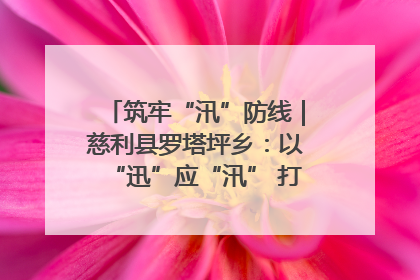 筑牢“汛”防线｜慈利县罗塔坪乡：以“迅”应“汛” 打赢暴雨防御战