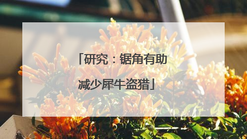 研究：锯角有助减少犀牛盗猎