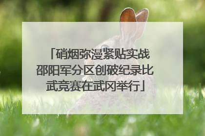 硝烟弥漫紧贴实战 邵阳军分区创破纪录比武竞赛在武冈举行