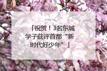 祝贺！3名东城学子获评首都“新时代好少年”